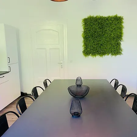 公寓 Sh-team For Work & Travel With Free Parking 杜伊斯堡